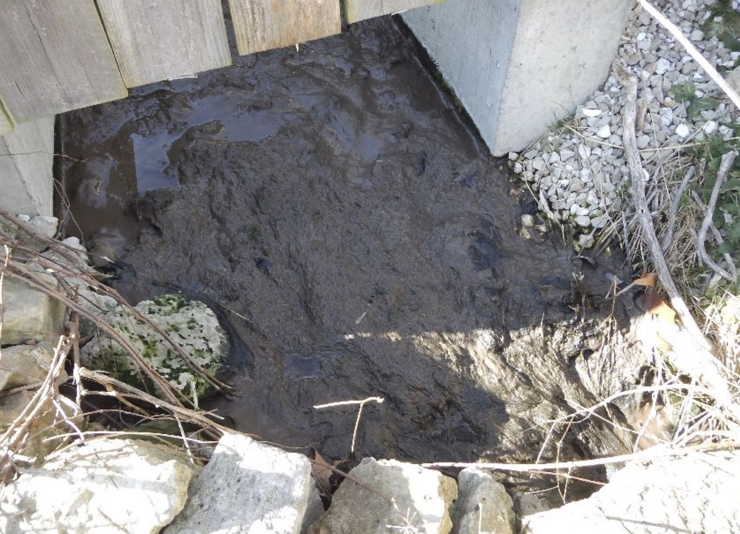Brown Effluent Discharging From Sewage Plant Outfall Area - 2